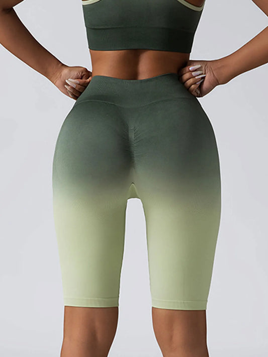 Ombre Color Gradient Women's Fitness Shorts, High Waist Bike Shorts