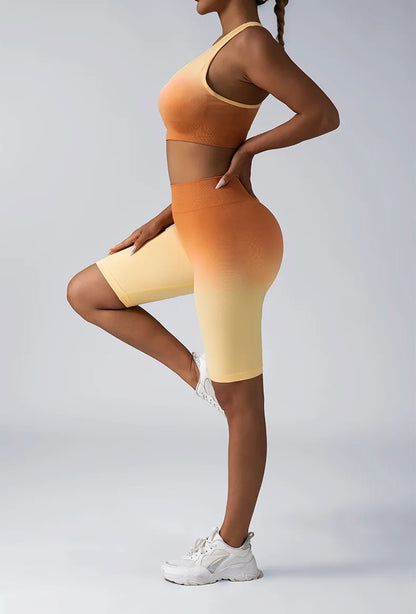 Ombre Color Gradient Women's Fitness Shorts, High Waist Bike Shorts